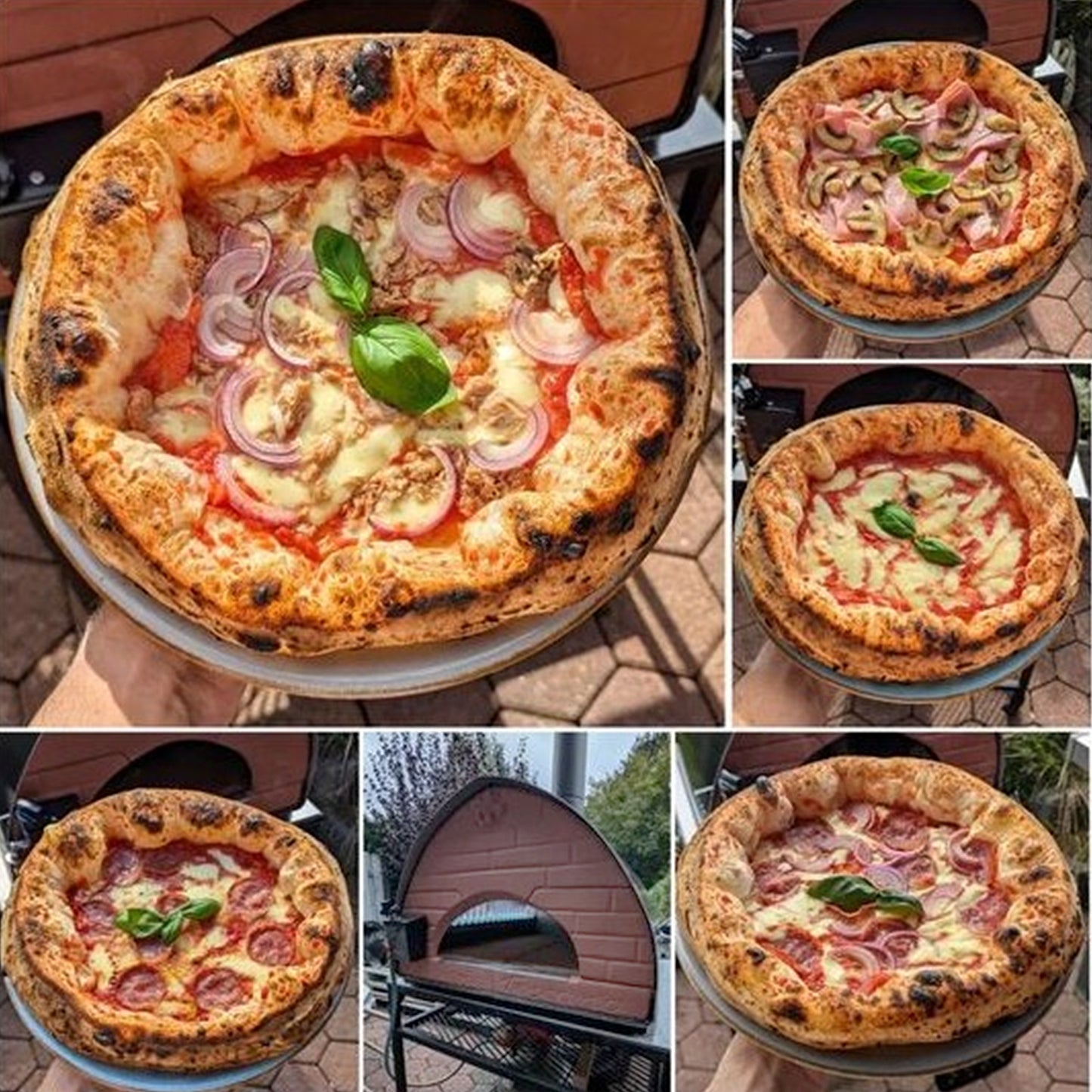 Pizza Party Bollore Dual Fuel Propane or Wood Pizza Oven